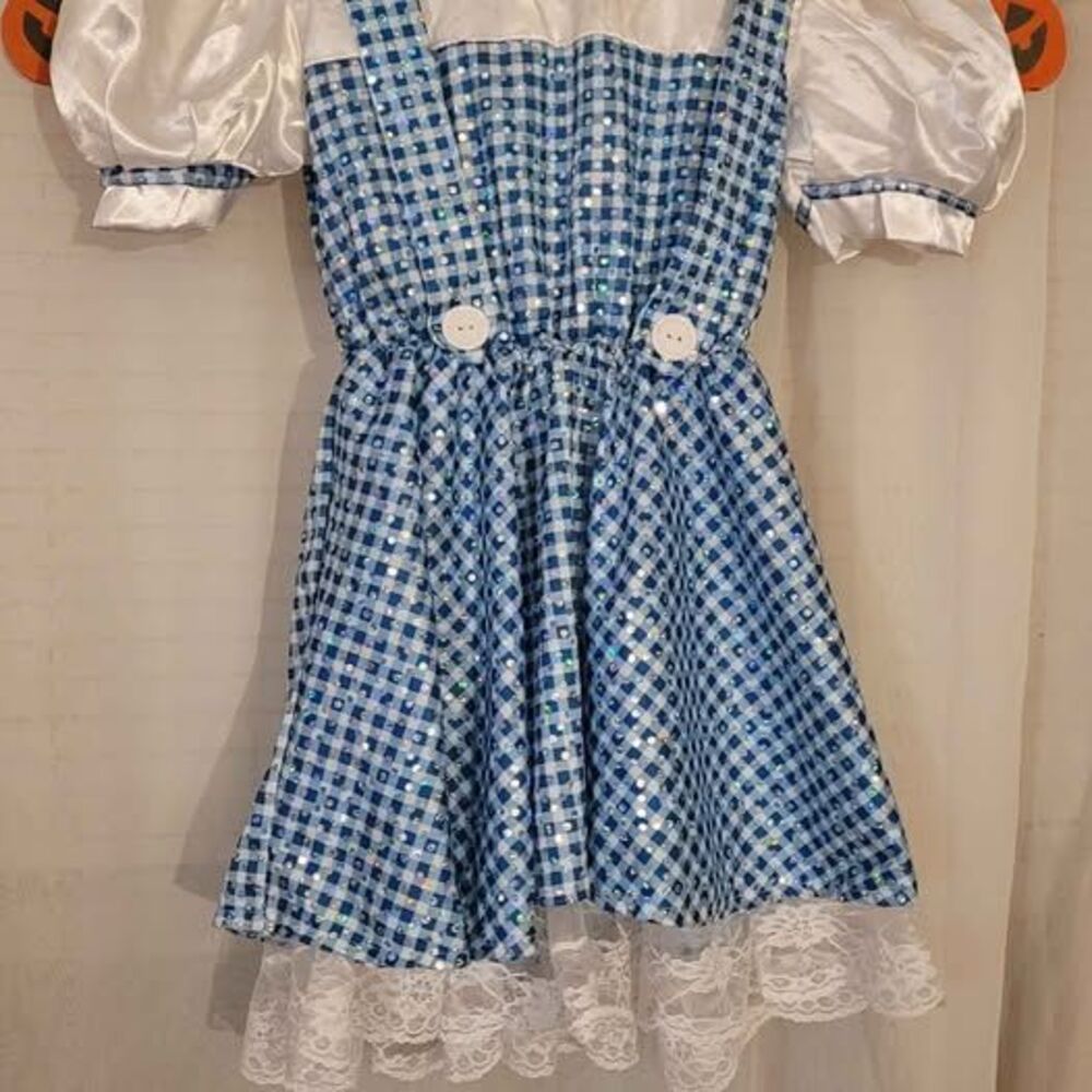 Dorothy wizard of oz costume child size small